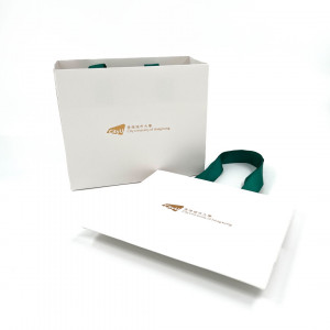 Small Paper Bag (Green Ribbon)