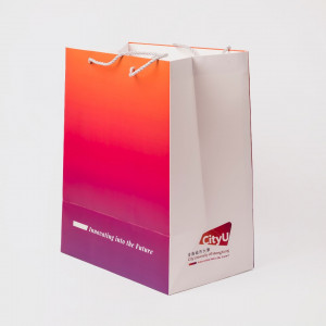 30th Anniversary Paper Bag (Large)