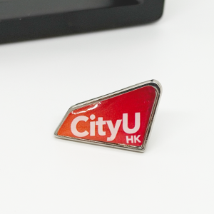 CityUHK Pin